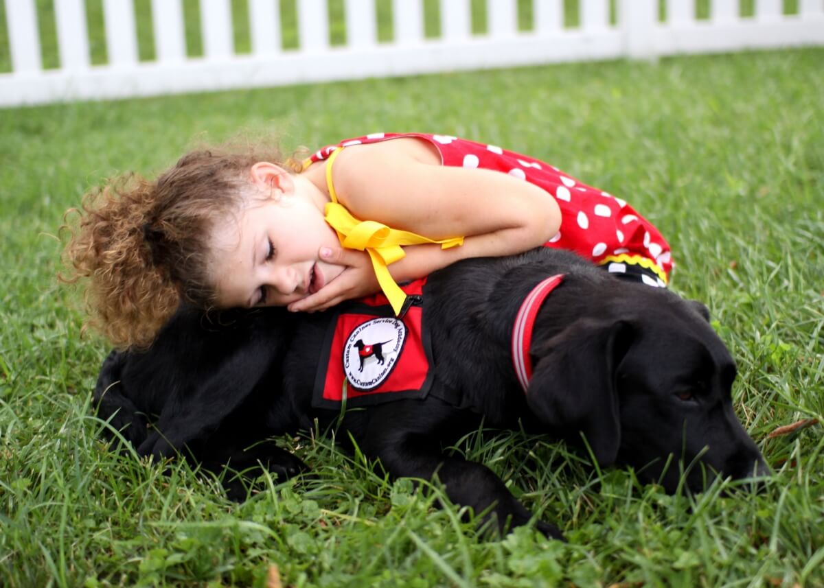 how do service dogs help with autism