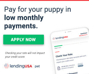 Lending USA Pet